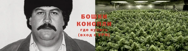 крисы Верея