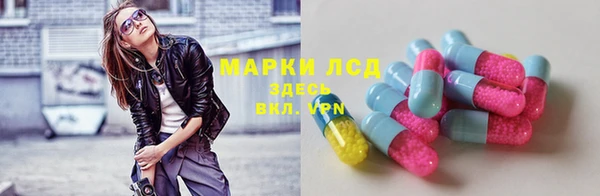 крисы Верея