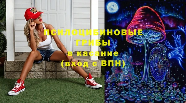 крисы Верея